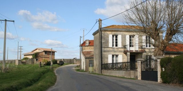 chat mont de marsan