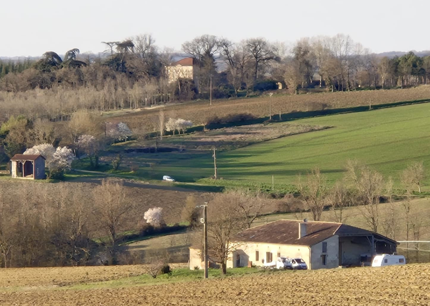 Clairac - borde du château de la Roche (mars 2025)