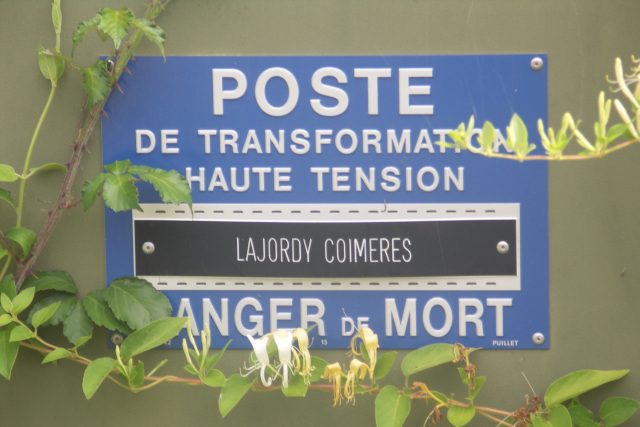Coimères - Lajordy : haute tension et crabehuste (chèvrefeuille)
