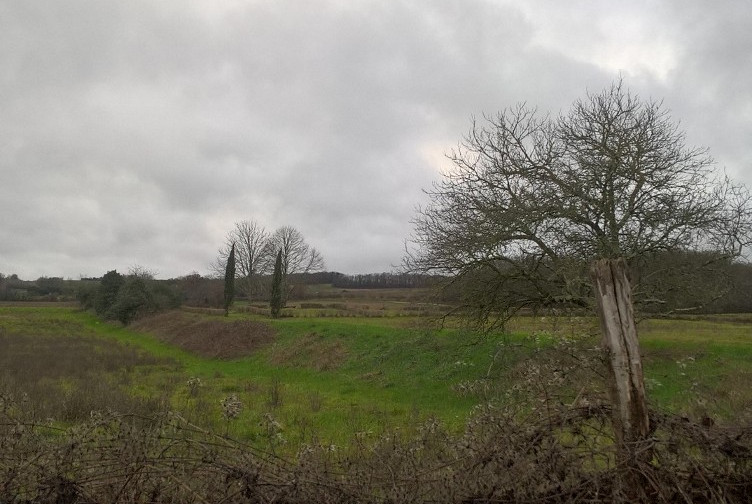 L'abbaye de Grandselve : emplacement marqué par des buis