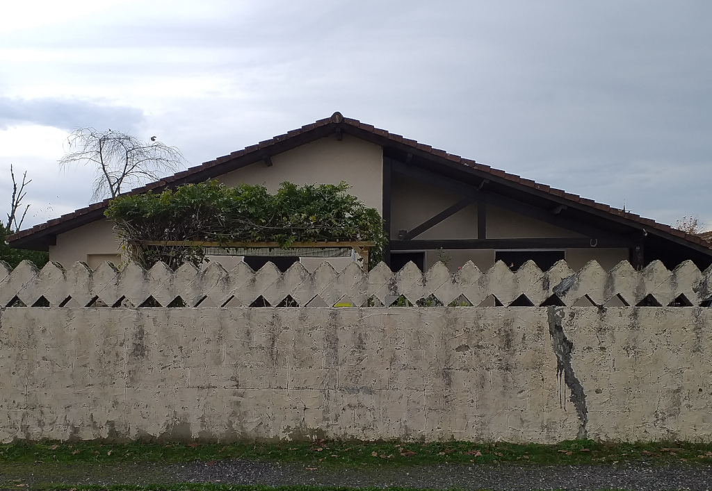 Le Barp - le Garde - astuce de décoration d'un mur de parpaings #2