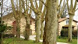 Vianne - Petit Naudet
