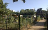 Bordeaux / Bordèu - Grand Parc, jardins familiaux (2025)