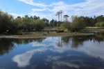Saint-Magne - lagune de Cambeyre