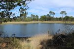 Saint-Magne - lagune de l'Aouarsey