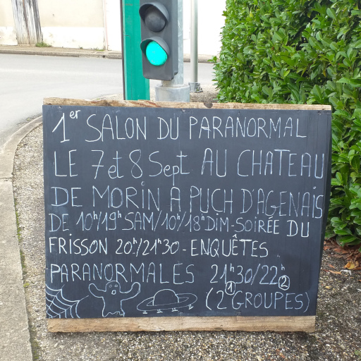 Puch d'Agenais - Château de Morin, 1er salon du paranormal