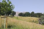 Toulouse - Parc de Reynerie, sur le rebord de la première terrasse de Garonne.