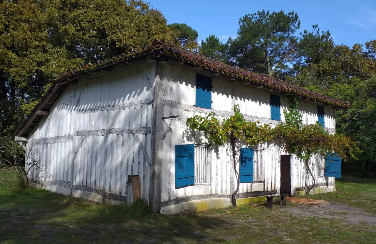 Sabres - Airial de Marquèze : la maison "dou meÿtadè"