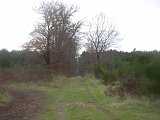 Boussès - chemin conduisant à Tillet