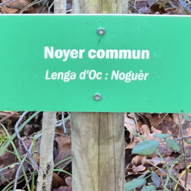 Au sentier-arborétum de Saint Martory